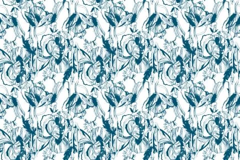 Poppy Stock Illustration