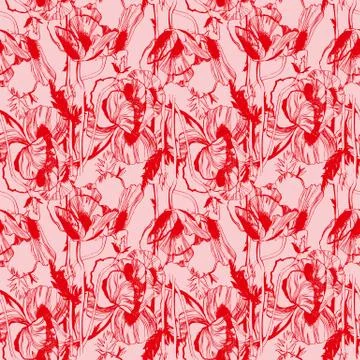 Poppy Stock Illustration