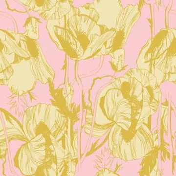 Poppy Stock Illustration