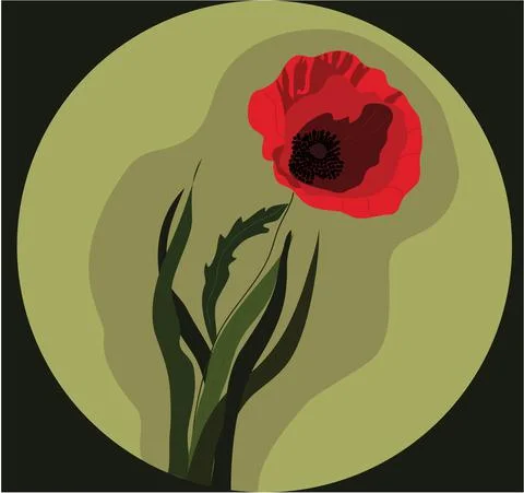 Poppy Stock Illustration