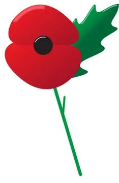 Poppy With Leaf Stock Illustration