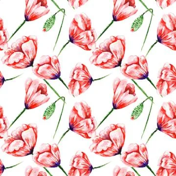 Poppy Pattern on White Background Stock Illustration