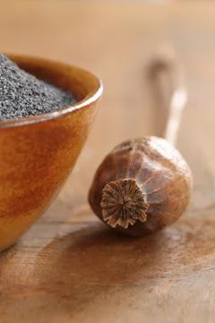 Poppy Stock Photos