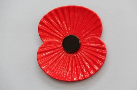 Poppy. Stock Photos
