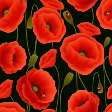 Poppy seamless pattern Stock Illustration