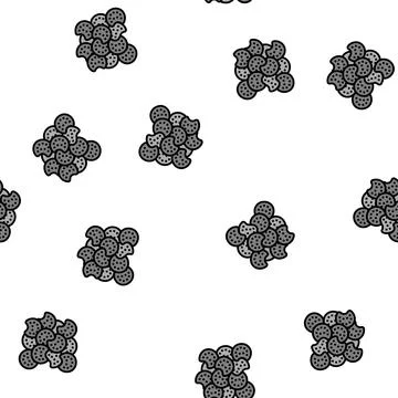 Poppy seed vector seamless pattern Stock Illustration