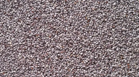 Poppy seeds background Stock-Footage 8830225