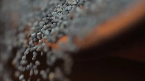Poppy seeds Stock Footage 89968622