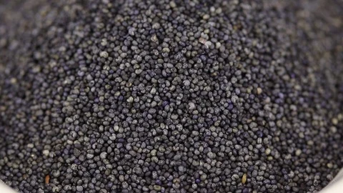 Poppy seeds Stock Footage 123336823