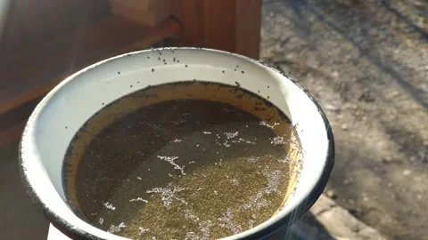 Poppy seeds soaking inside enamel bowl Stock Footage 334971420
