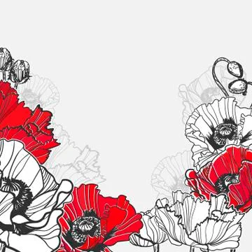 Poppy vector frame card flower red black Stock Illustration
