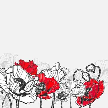 Poppy vector frame card flower red black Stock Illustration