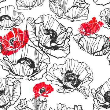 Poppy vector pattern sketch line white black red Stock Illustration