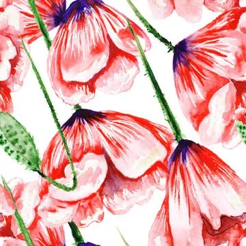Poppy Watercolor Pattern Stock Illustration