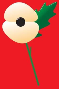 Poppy White With Leaf Stock Illustration