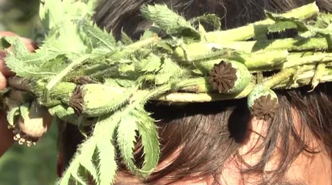 Poppy wreath. Stock Footage 7753203