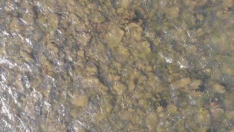 Poprad River in Beskidy Mountains in spring. Village Rytro, Poland. 库存影片 128661022