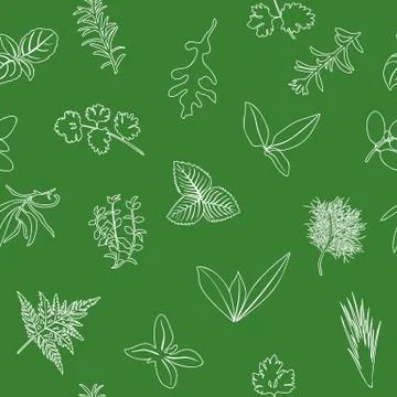 Popular culinary herbs seamless pattern. realistic style. icon outline sketch on Stock Illustration