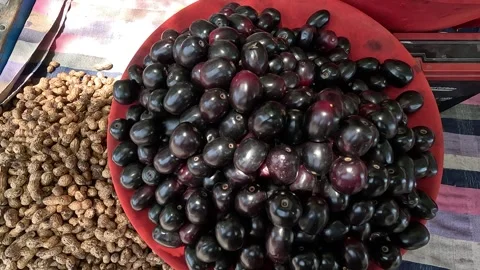 Popular fruit java plum is Reddy to sold in fruit   market in monsoon season Stock Footage 277322778