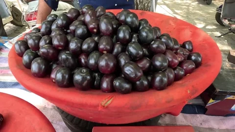 Popular fruit java plum is Reddy to sold in fruit   market in monsoon season Stock Footage 277322779