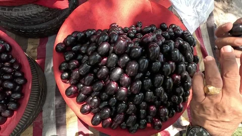 Popular fruit java plum is Reddy to sold in fruit   market in monsoon season Stock Footage 277322891