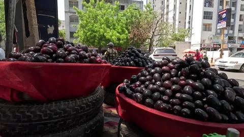 Popular fruit java plum is Reddy to sold in fruit   market in monsoon season Stock Footage 277322931