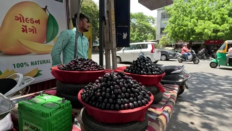 Popular fruit java plum is Reddy to sold in fruit   market in monsoon season Stock Footage 277322970