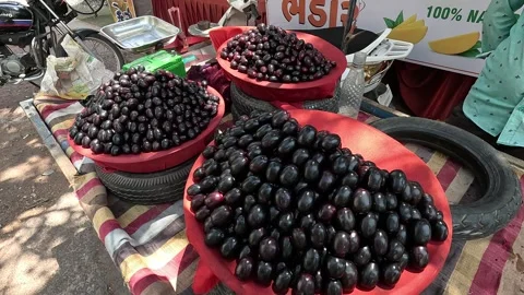 Popular fruit java plum is Reddy to sold in fruit   market in monsoon season Stock Footage 277322984
