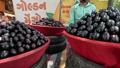 Popular fruit java plum is Reddy to sold in fruit   market in monsoon season Stock Footage 277323017
