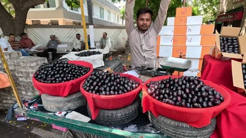 Popular fruit java plum is Reddy to sold in fruit   market in monsoon season Stock Footage 277323038