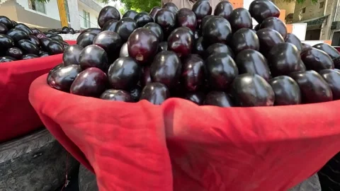 Popular fruit java plum is Reddy to sold in fruit   market in monsoon season Stock Footage 277323044