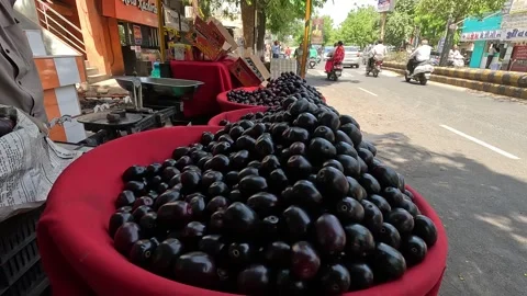 Popular fruit java plum is Reddy to sold in fruit   market in monsoon season Stock Footage 277323056