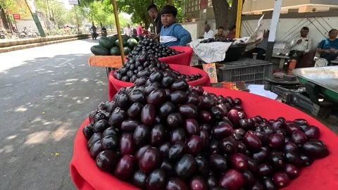 Popular fruit java plum is Reddy to sold in fruit   market in monsoon season Stock Footage 277323074