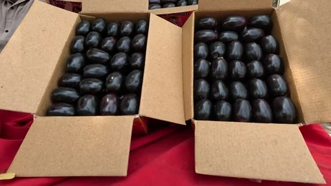 Popular fruit java plum is Reddy to sold in fruit   market in monsoon season Stock Footage 277323092