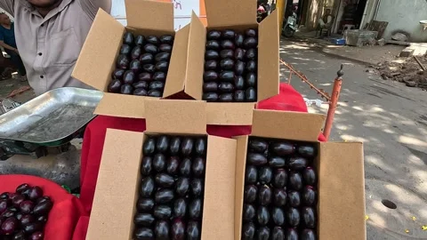 Popular fruit java plum is Reddy to sold in fruit   market in monsoon season Stock Footage 277323105