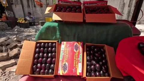 Popular fruit java plum is Reddy to sold in fruit   market in monsoon season Stock Footage 277323122