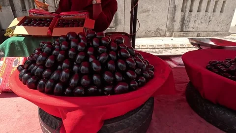 Popular fruit java plum is Reddy to sold in fruit   market in monsoon season Stock Footage 277323124