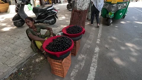 Popular fruit java plum is Reddy to sold in fruit   market in monsoon season Stock Footage 277323134