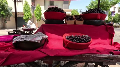 Popular fruit java plum is Reddy to sold in fruit   market in monsoon season Stock Footage 277323260