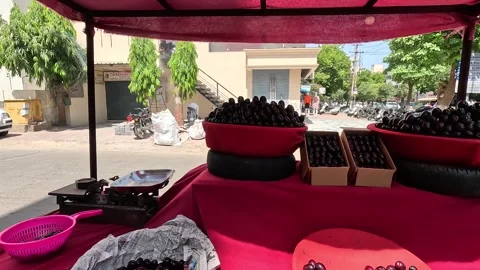 Popular fruit java plum is Reddy to sold in fruit   market in monsoon season Stock Footage 277323261