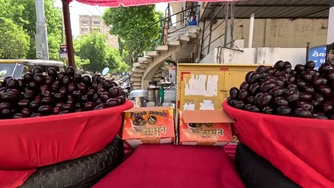 Popular fruit java plum is Reddy to sold in fruit   market in monsoon season Stock Footage 277323274