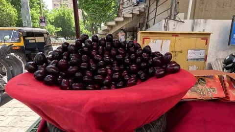 Popular fruit java plum is Reddy to sold in fruit   market in monsoon season Stock Footage 277323286