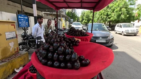 Popular fruit java plum is Reddy to sold in fruit   market in monsoon season Stock Footage 277323296