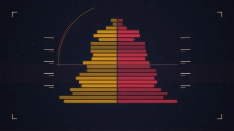 Population Pyramid Chart Data Visualization Animated Graph Stock Footage 348424333