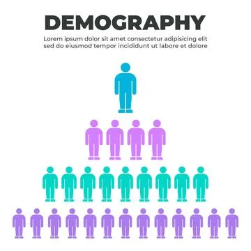 Population Pyramid Demographic Visualization Stock Illustration