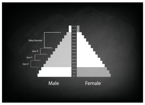 The Population Pyramids Graphs with 4 Generation Stock-Illustration