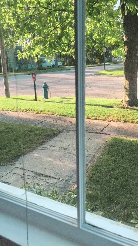 From the porch Stock Footage 279520817