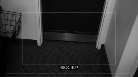 A Porch Pirate Steals a Package from Inside Apartment Building 1 Stock Footage 292522156