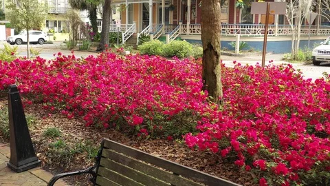 Porches by the Square 库存影片 104460146