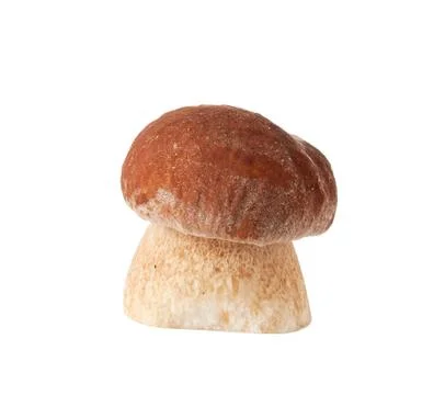 Porcini mushrooms. Cep on white background Stock Photos